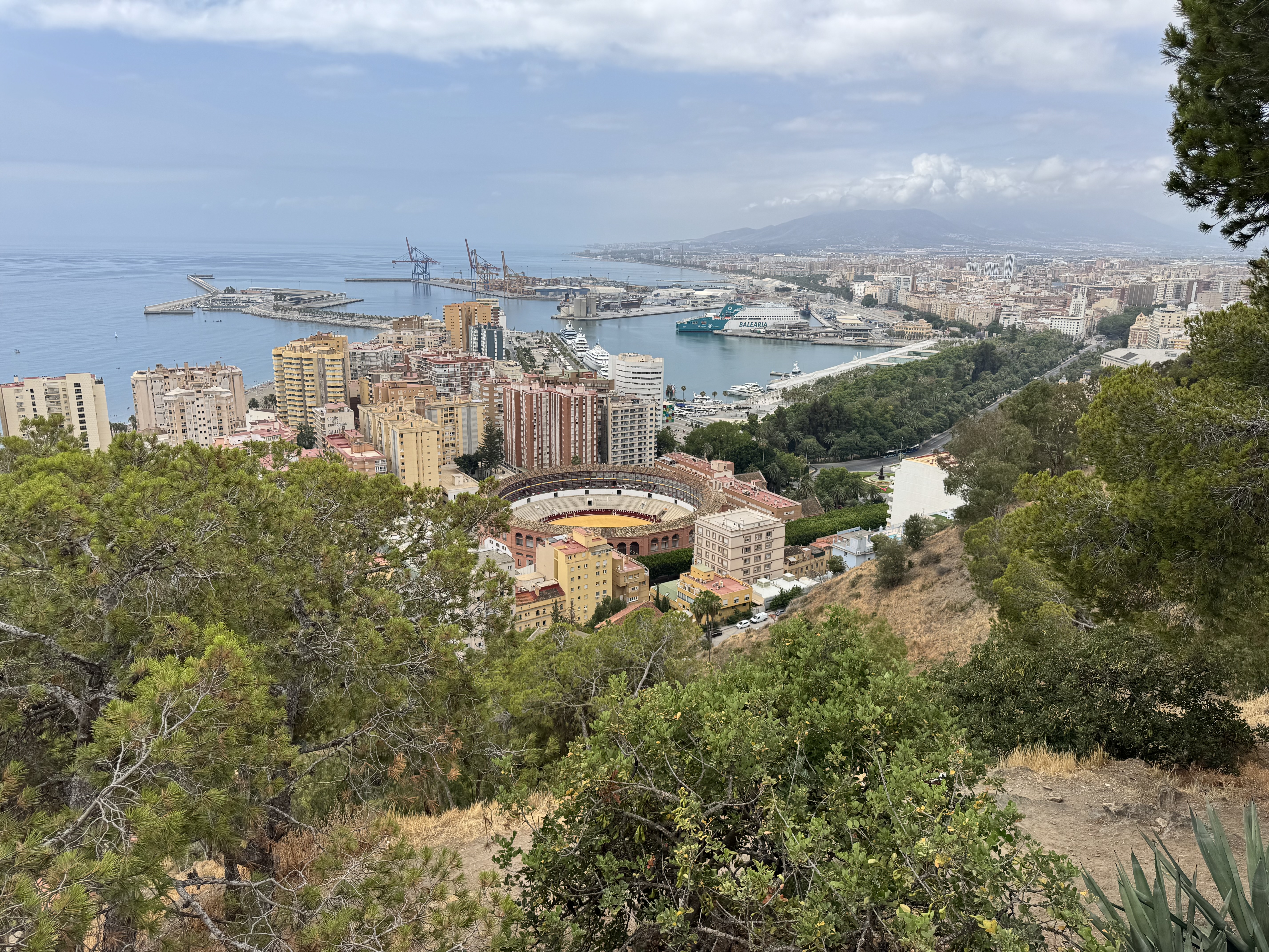 Vista panorámica de Málaga